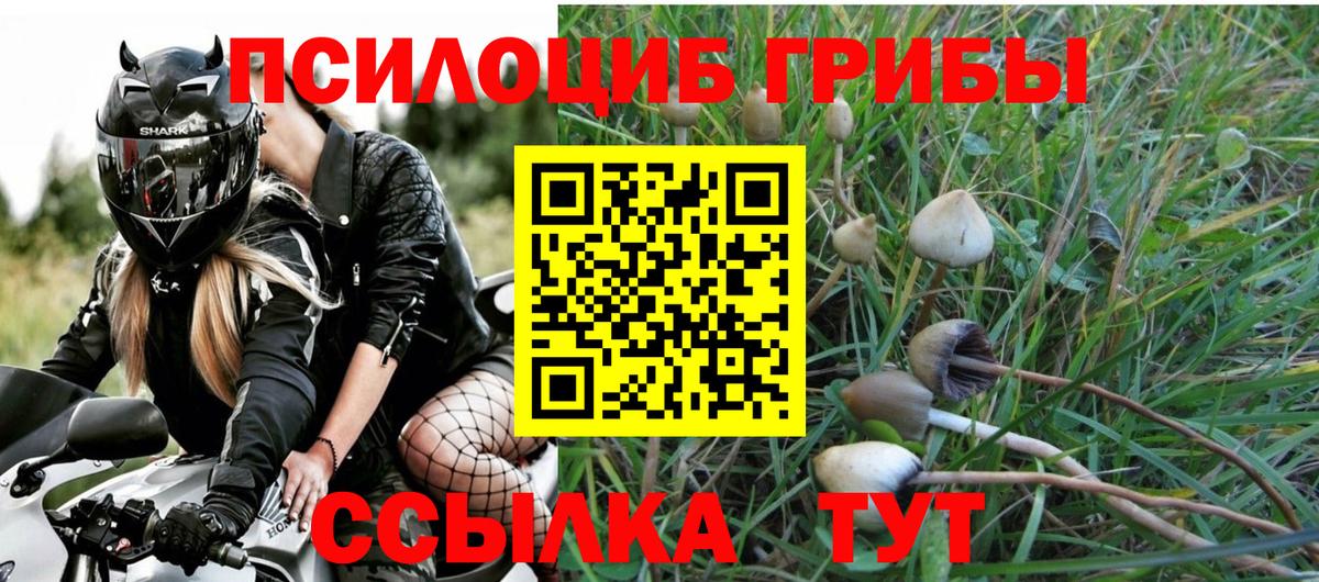 Галлюциногенные грибы ЛСД  Вход с VPN  Галлюциногенные грибы Cubensis  Томск 
